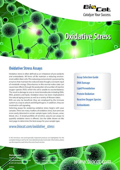 Pdf Oxidative Stress Biocat Gmbh20140815 · Lipid Peroxidation