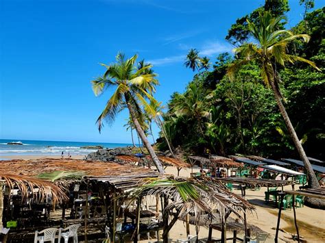 Beach Brazil Bahia - Free photo on Pixabay - Pixabay