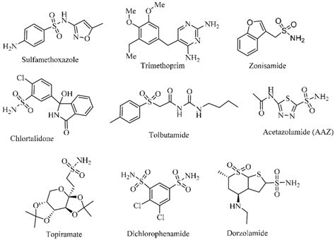 The structure of approved sulfonamide drugs. | Download Scientific Diagram