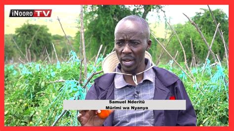 Ũrĩmi wa nyanya na Samuel Nderitũ MugamboWaMũrĩmi Part1 YouTube