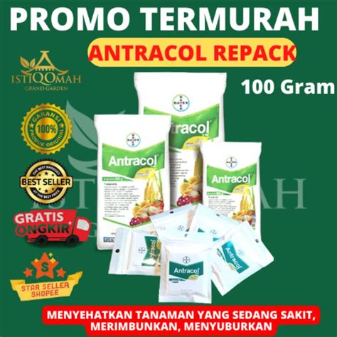 Jual Antracol 70 Wp Repack 100 Gr Obat Jamur Atau Fungisida Shopee