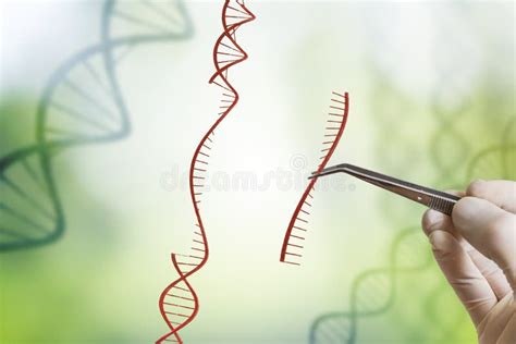 De Hand Neemt Opeenvolging Van DNA Op Genetische Biologie GMO En Het