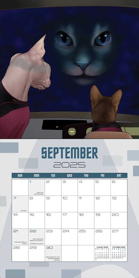 Star Trek: Cats 2025 Wall Calendar - Book Summary & Video | Official ...