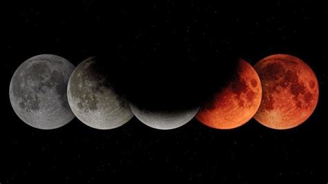 Lunar Eclipse 2023 In Libra What It Means For All Zodiac Indicators