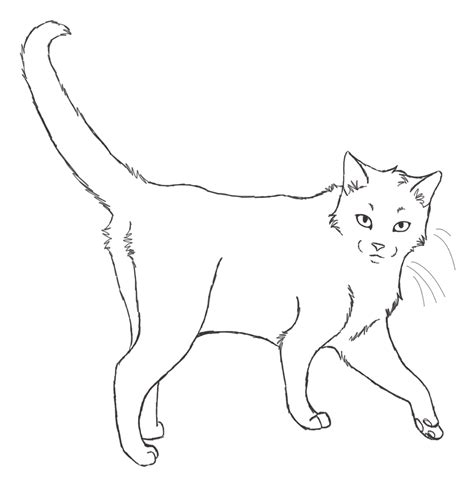 Realistic Cat Base Free Png By Shaialove On Deviantart