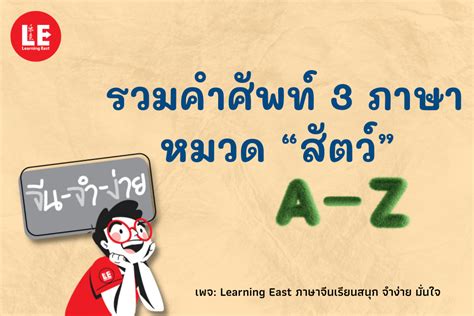 รวมคำศัพท์ 3 ภาษา ไทย อังกฤษ จีน หมวดสัตว์ A Z โดยสถาบันภาษาจีนเลิร์น