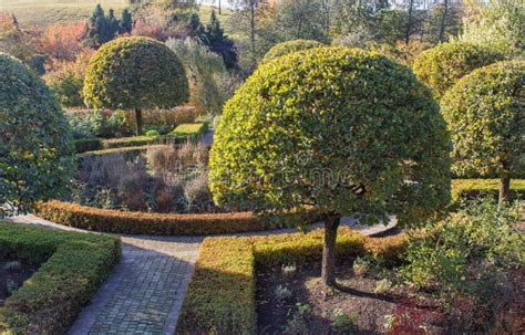 Cottage Garden With Green Lawn Topiary Oak Trees And Trimmed Bushes