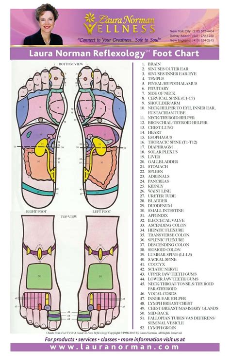 31 Printable Foot Reflexology Charts And Maps Templatelab Reflexology