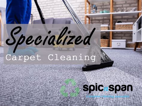 Spic And Span Cleaning Specialist