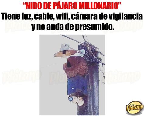 Si Tus Padres Te Acusan De Mentiroso M Ralos A Los Ojos Y Diles Y El