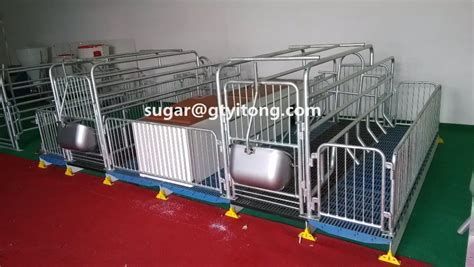 Hot Dipped Galvanized Fatten Pigs Pens Buy Pig Pen Designlow Price