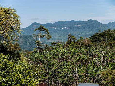 Todo sobre las reservas ecológicas y su importancia ambiental