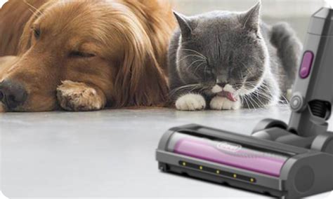 GEVI | Unleashing the Best Cordless Vacuum Cleaner for Pet Hair