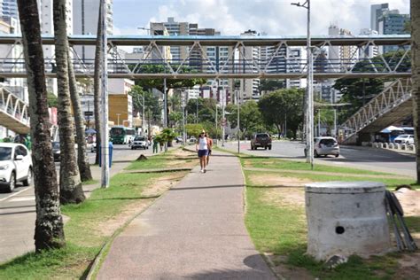 Canteiro central da Avenida Centenário Secretaria de Comunicação