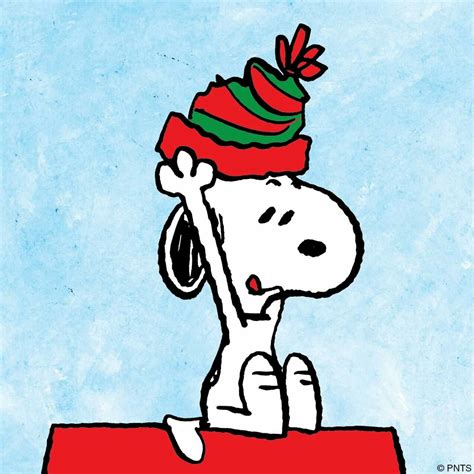 Christmas Hat Snoopy Snoopy Pictures Snoopy Images