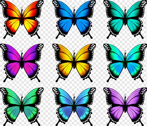 Colecci N De Ilustraciones De Mariposas Coloridas Png Pngwing