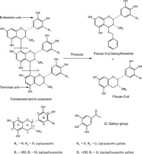 Chemical Structure Of Flavan Ol Monomer Units And Thiolysis Reaction