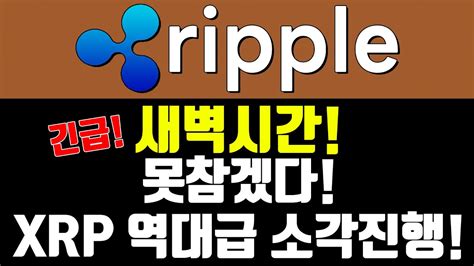 리플 긴급 새벽시간 못참겠다 Xrp 역대급 소각진행 Youtube