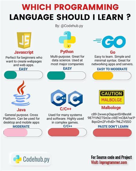 Which Programming Languages Should I Learn👨‍💻🤩 Learn Computer Coding Computer Learning