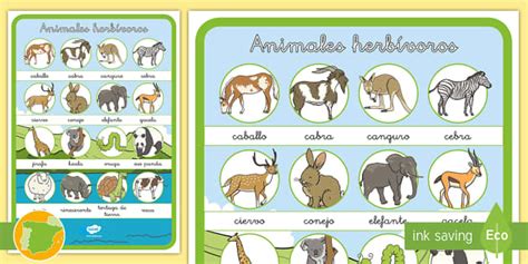 Póster: Animales herbívoros (Teacher-Made) - Twinkl