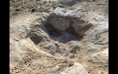 Texas Prehistórico hallazgo Sequía deja al descubierto huellas de