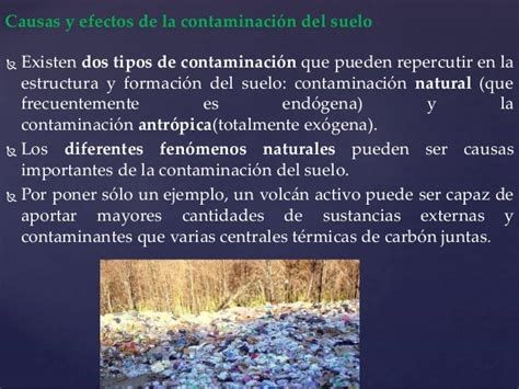 Causas Y Efectos De La Contaminación Del Suelo