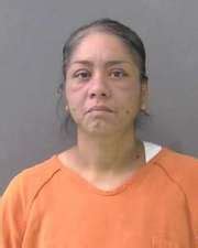 Elena Maldonado Arrested Booked 02 13 2024 Arrest Files