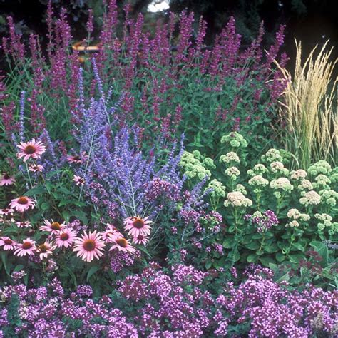 Pre Planned Gardens Garden Design Kits High Country Gardens