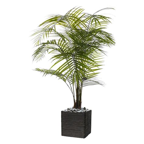 Palmier Areca Artificiel H 175 Cm En Plastique Anti UV En Pot Leroy