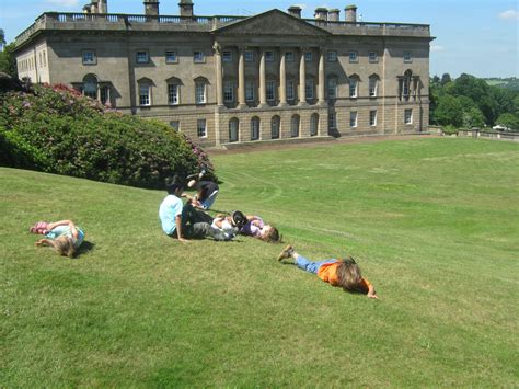 pheasants, frogs and banana bread: Wentworth Castle gardens