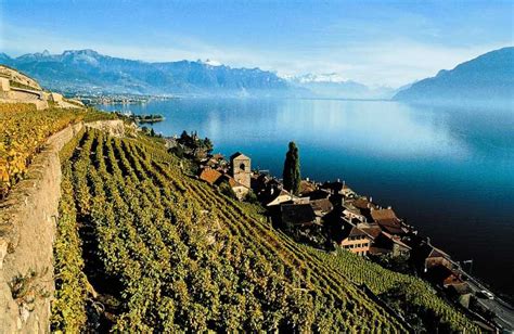 Gen Ve Lausanne Montreux Et Ch Teau De Chillon Getyourguide