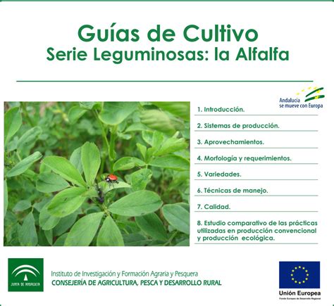 Guia De Cultivo De Alfalfa SERVIFAPA Plataforma De Asesoramiento Y