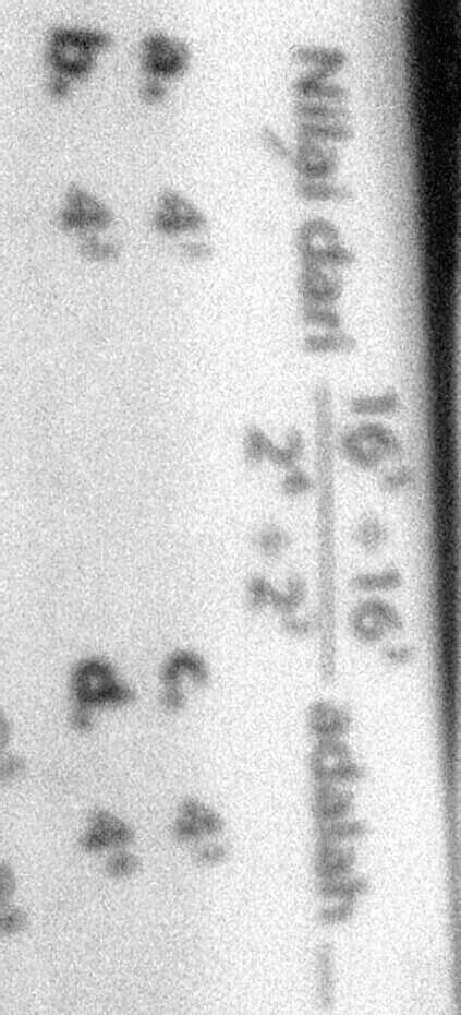 SOLVED Dari 16 Pangkat 5 Dibagi 16 Pangkat 3 Per 2 Pangkat 4 Dibagi 2