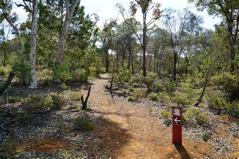 Ochre Trail Dryandra Woodlands National Park The Long Ways Better