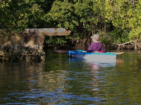 Siesta Key kayaking trail is a serene paddle to Hidden Beach