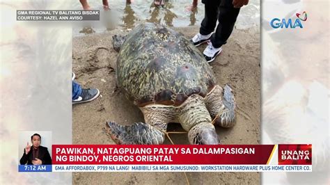 Pawikan Natagpuang Patay Sa Dalampasigan Ng Bindoy Negros Oriental