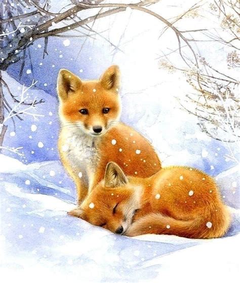 Pin by Karianne Rousseau on Noël hiver Animal illustration Cute