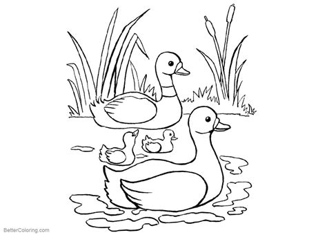 Pond Coloring Pages Ducks and Cattails - Free Printable Coloring Pages