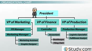 What Is The Hierarchy In The Structure Of The House Infoupdate Org