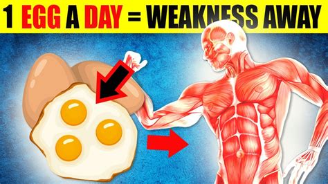 12 Amazing Benefits Of Eating Eggs Everyday 🥚 Youtube