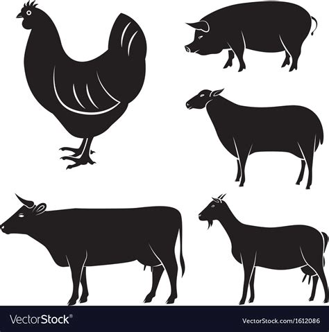 Farm animals Royalty Free Vector Image - VectorStock