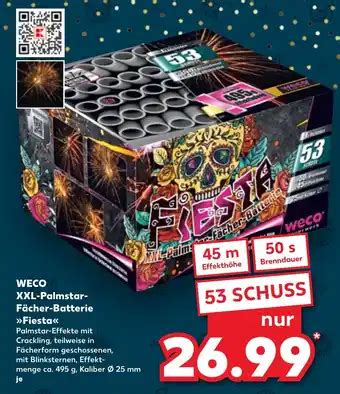 Weco Xxl Palmstar F Cher Batterie Fiesta Aanbieding Bij Kaufland De