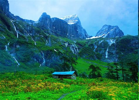 mountain, Valley, Path, Nepal, Himalayas, Snowy Peak, Wildflowers ...