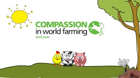 Impact Calculator By Compassion In World Farming Youtube