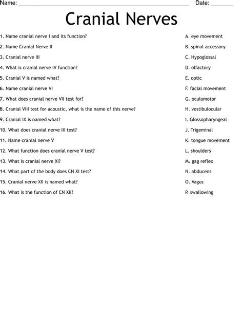 Cranial Nerves Mnemonic Function Labeled Names In Order