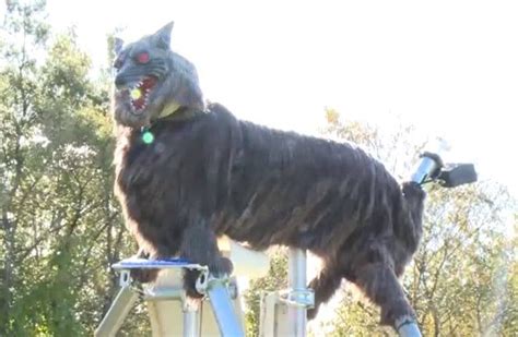 Japanese Installs Terrifying Monster Wolf Robots To Scare Away Bears