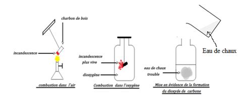 D Couvrir Imagen Formule Chimique Du Dioxyg Ne Fr Thptnganamst