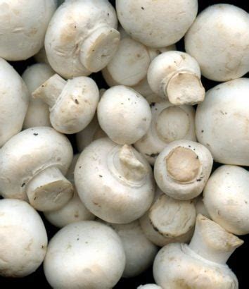 Faut il éplucher les champignons de Paris