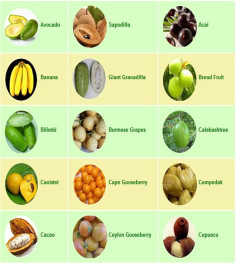 Tropical Fruit List