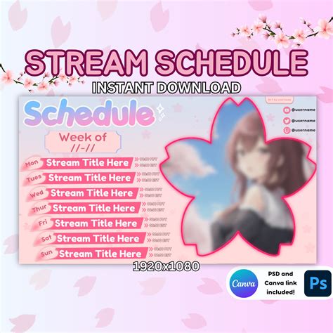 Sakura Pastel Vtuber Schedule Streamer Cherry Blossom Kawaii Schedule